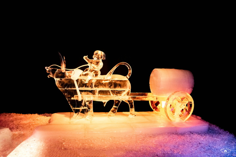 Karls Erdbeerhof 14.01.2020--5.jpg